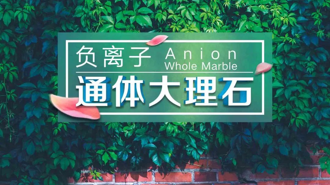 圖片2.jpg