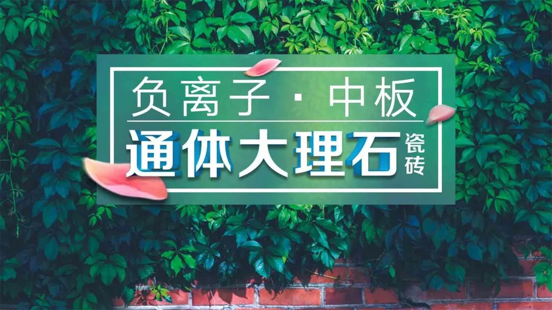 圖片5.jpg
